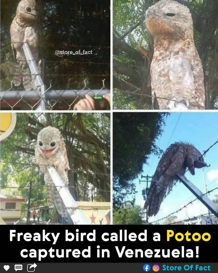 Store-Of-Crazy-Interesting-Facts