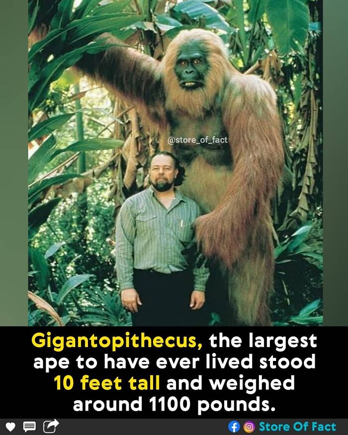 Store-Of-Crazy-Interesting-Facts