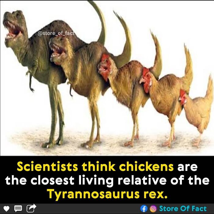 Store-Of-Crazy-Interesting-Facts