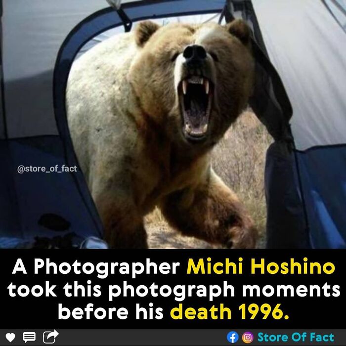 Store-Of-Crazy-Interesting-Facts