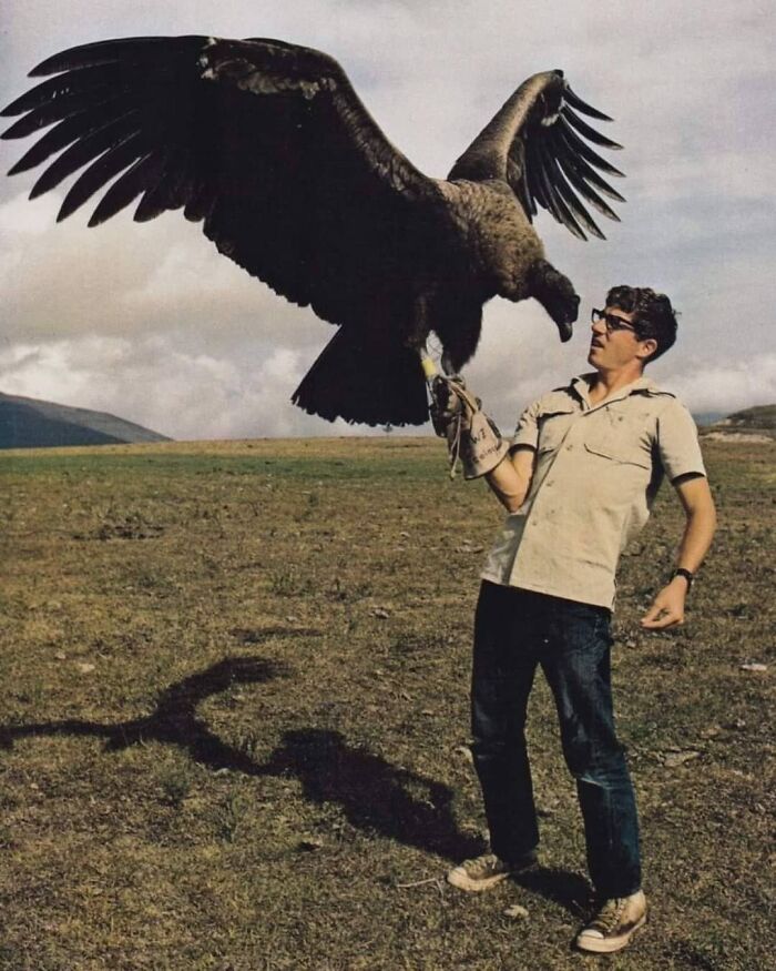 Man wearing glasses holding a large bird of prey on his gloved hand in an open field in an important historical photo