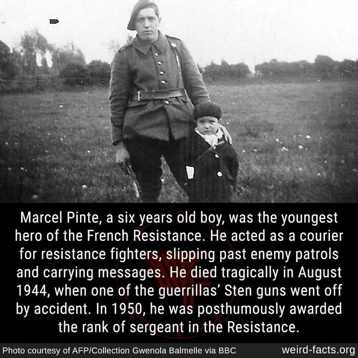 Weird-Interesting-Cool-Facts