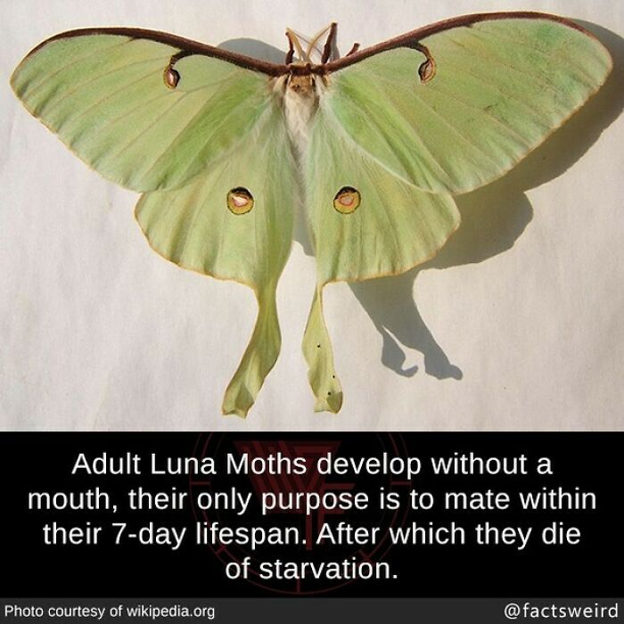 Weird-Interesting-Cool-Facts