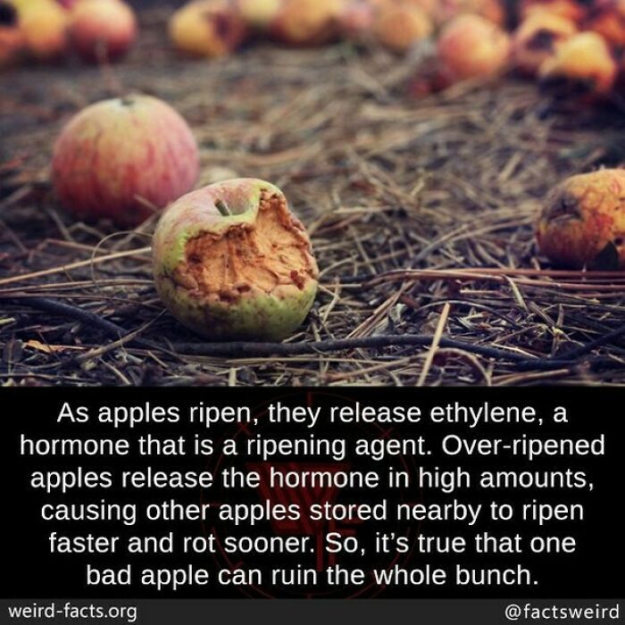 Weird-Interesting-Cool-Facts