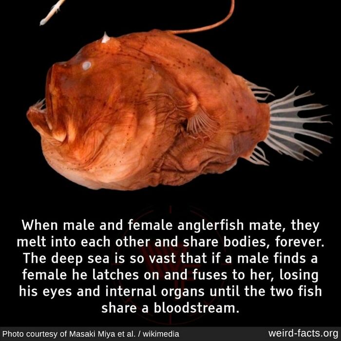 Weird-Interesting-Cool-Facts