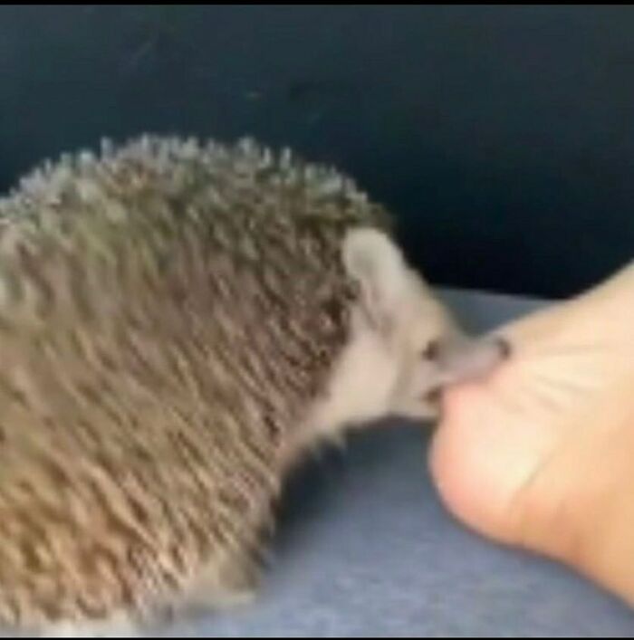 Funny-Low-Quality-Stories