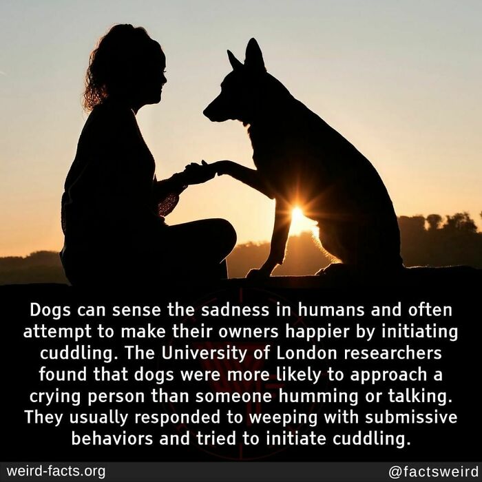 Weird-Interesting-Cool-Facts