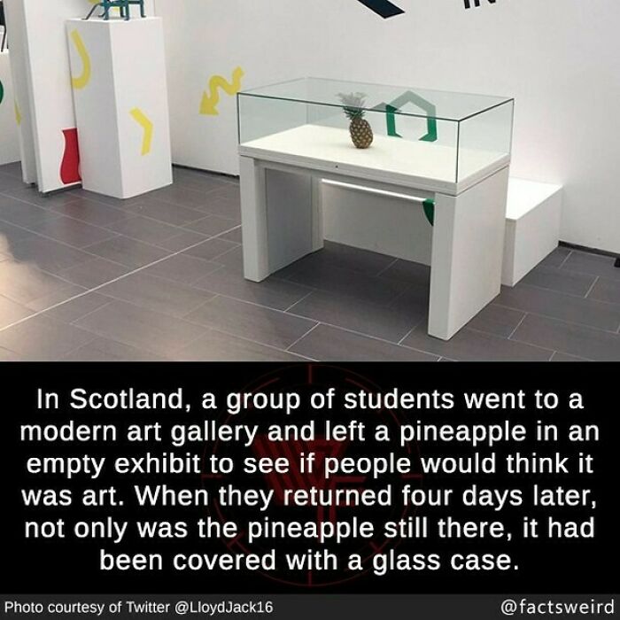 Weird-Interesting-Cool-Facts