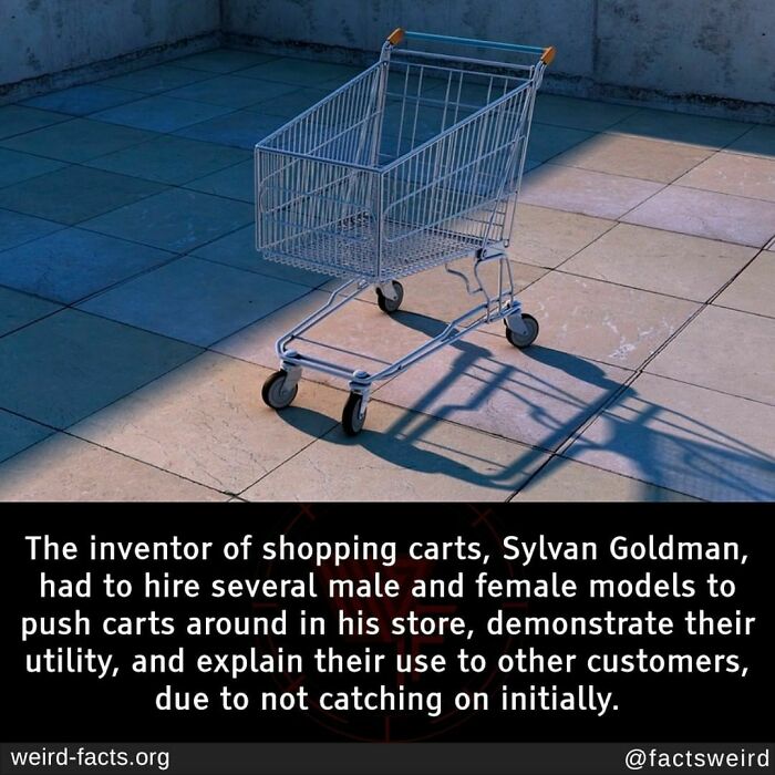 Weird-Interesting-Cool-Facts