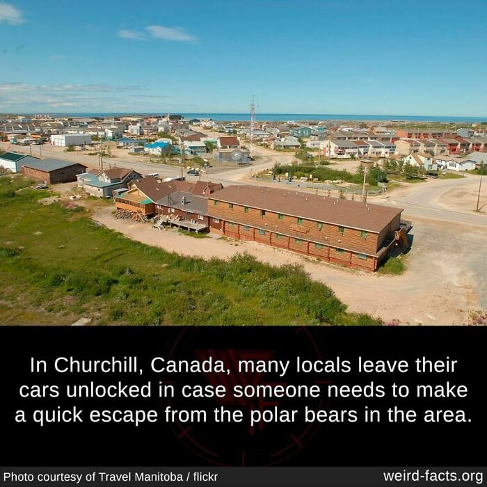 Weird-Interesting-Cool-Facts