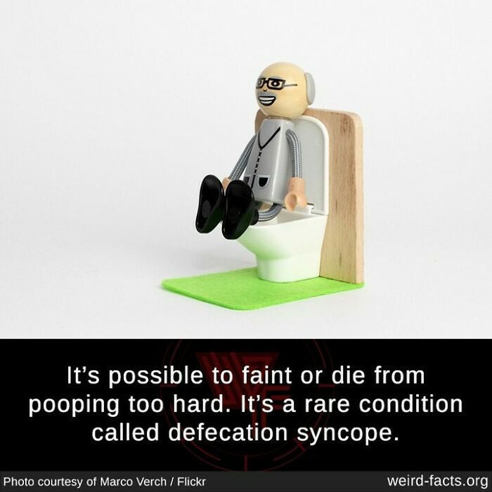 Weird-Interesting-Cool-Facts