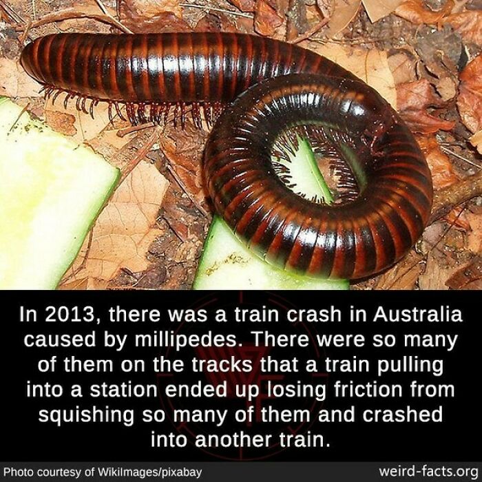 Weird-Interesting-Cool-Facts