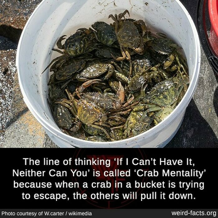 Weird-Interesting-Cool-Facts