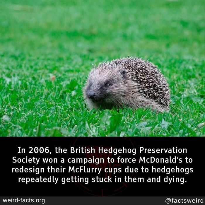 Weird-Interesting-Cool-Facts