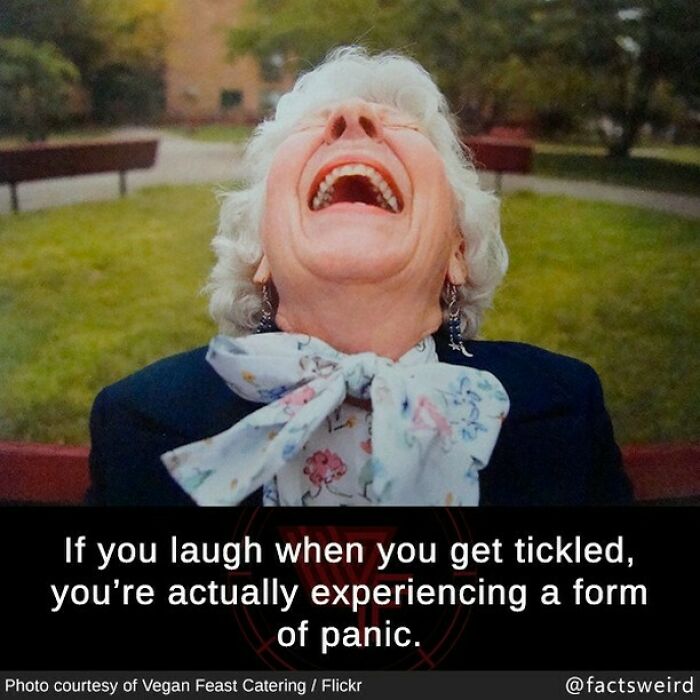 Weird-Interesting-Cool-Facts