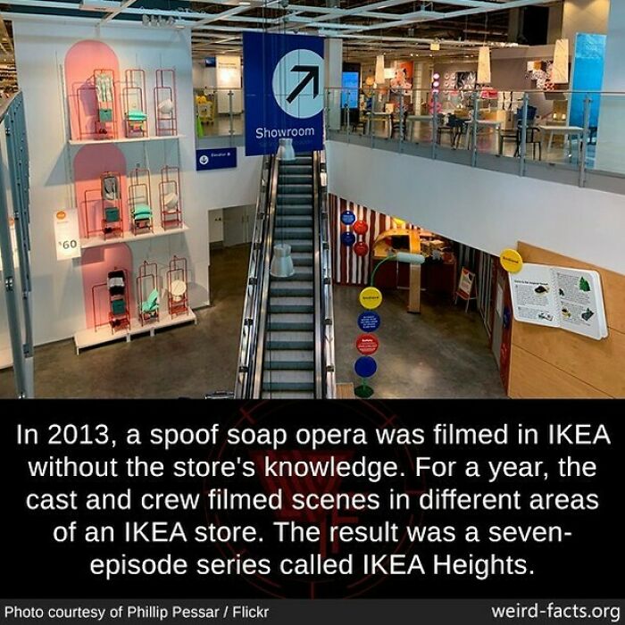 Weird-Interesting-Cool-Facts