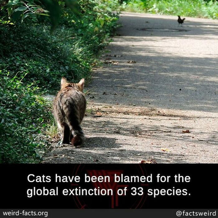 Weird-Interesting-Cool-Facts