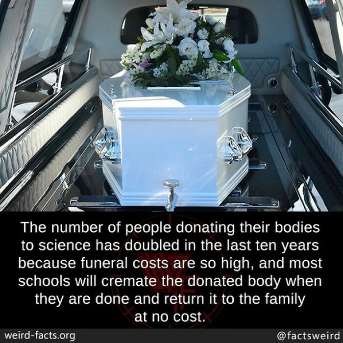 Weird-Interesting-Cool-Facts