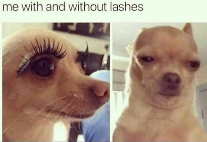 Funny-Spiciest-Memes