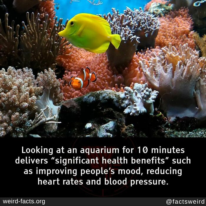 Weird-Interesting-Cool-Facts