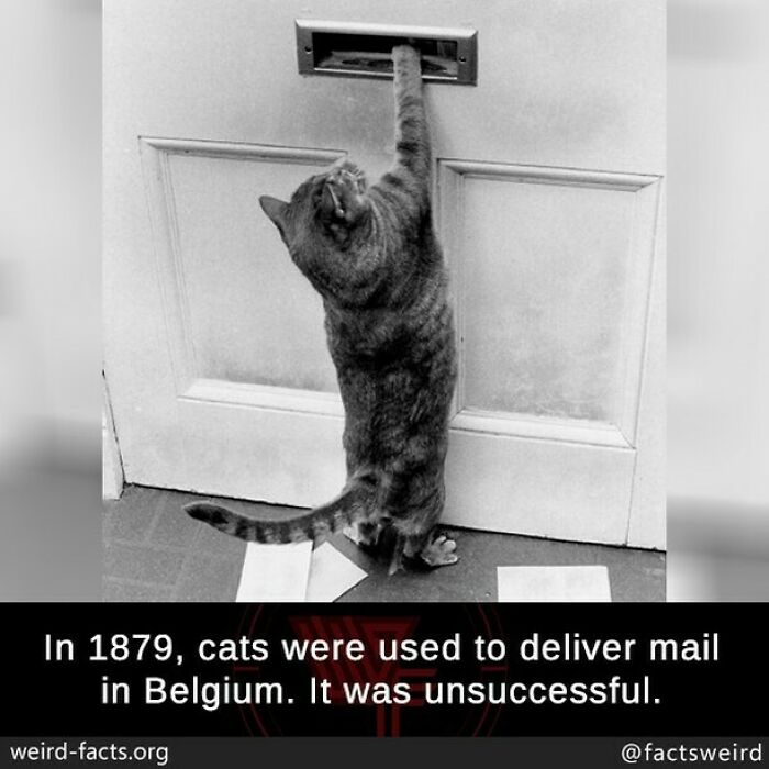 Weird-Interesting-Cool-Facts