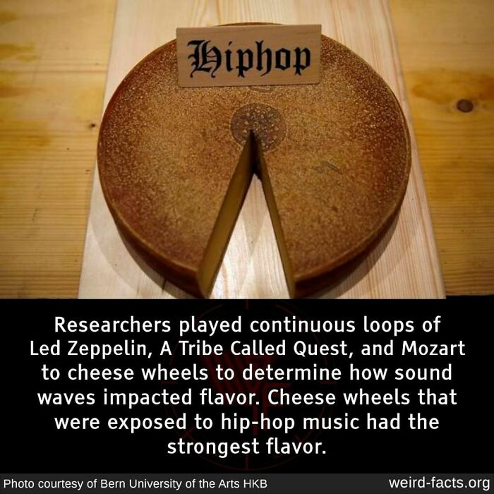 Weird-Interesting-Cool-Facts