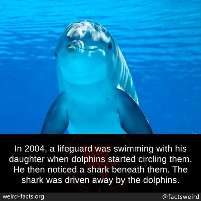 Weird-Interesting-Cool-Facts