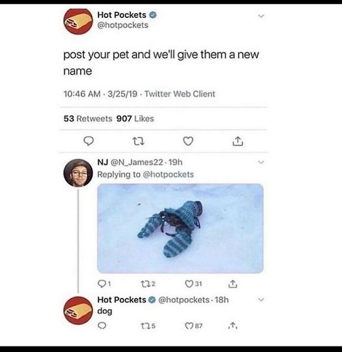 Funny-Low-Quality-Stories