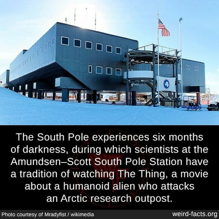 Weird-Interesting-Cool-Facts