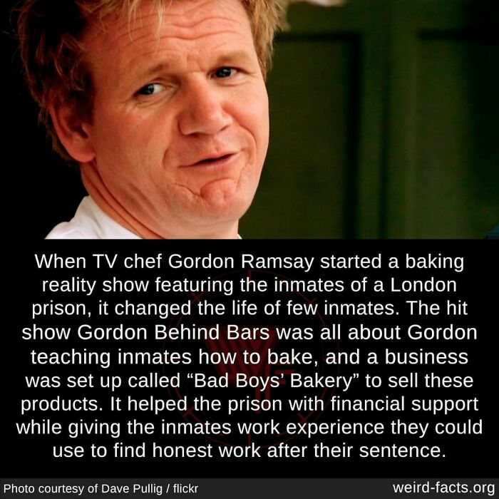 Weird-Interesting-Cool-Facts