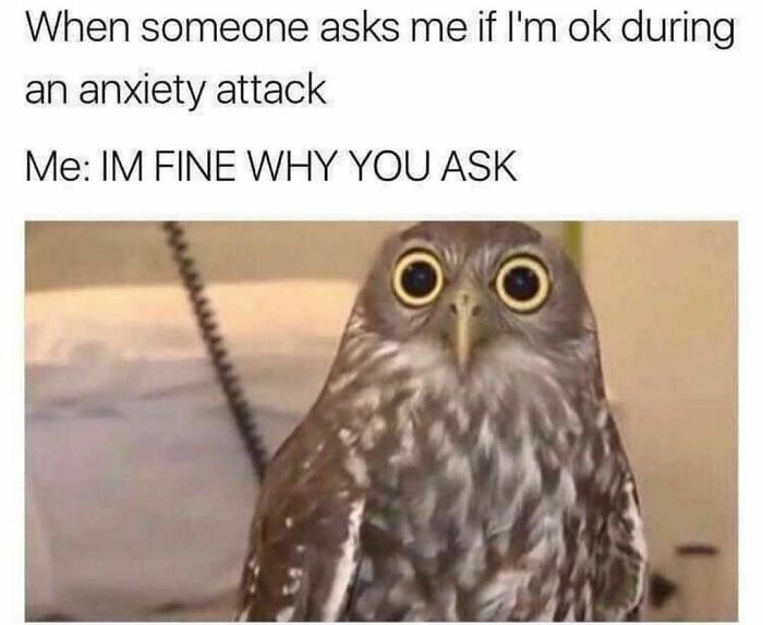 An owl with wide eyes captioned as a spicy meme about anxiety and feeling ok.