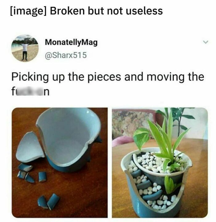 Wholesome-Pictures-Tanks-Good-News