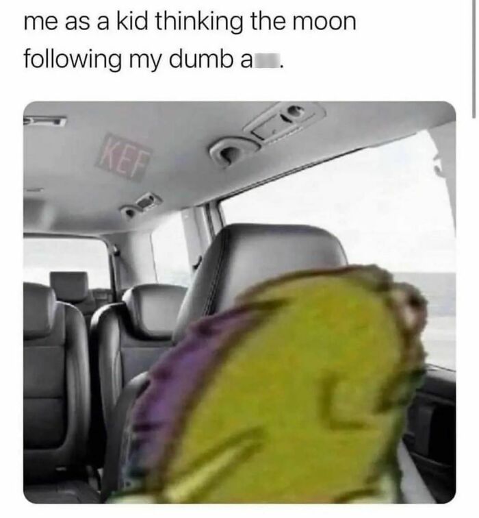 Funny-Spiciest-Memes