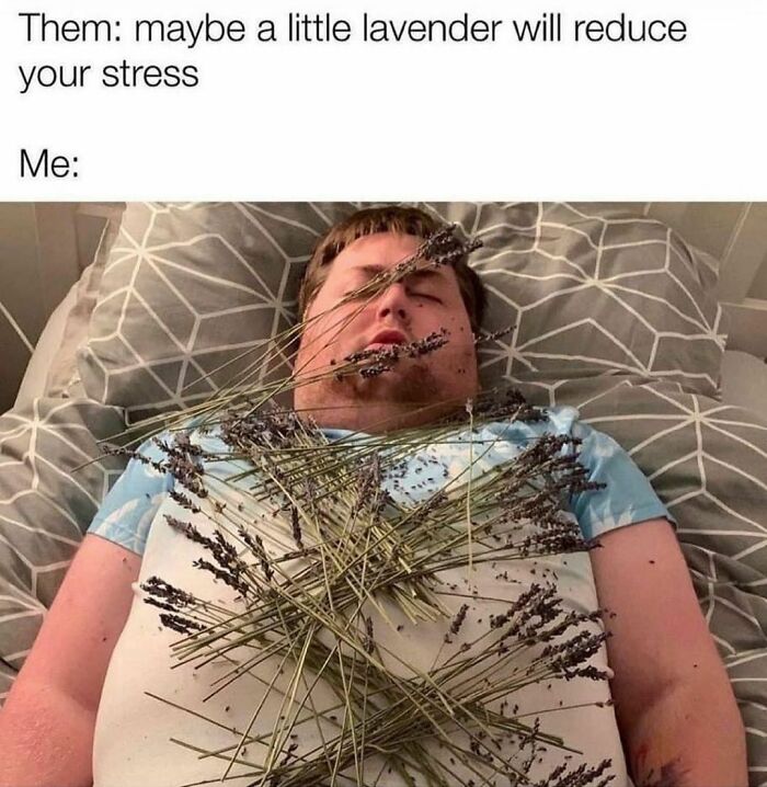 Funny-Spiciest-Memes