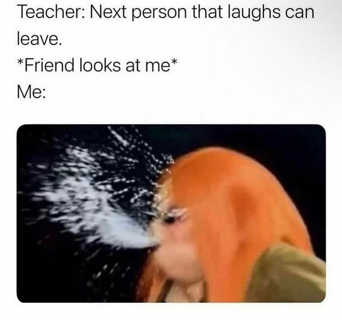 Funny-Spiciest-Memes