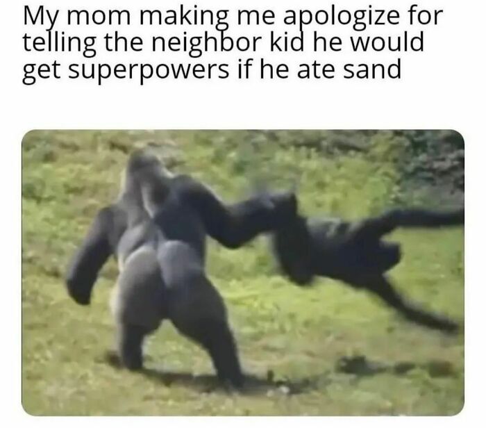 Funny-Spiciest-Memes