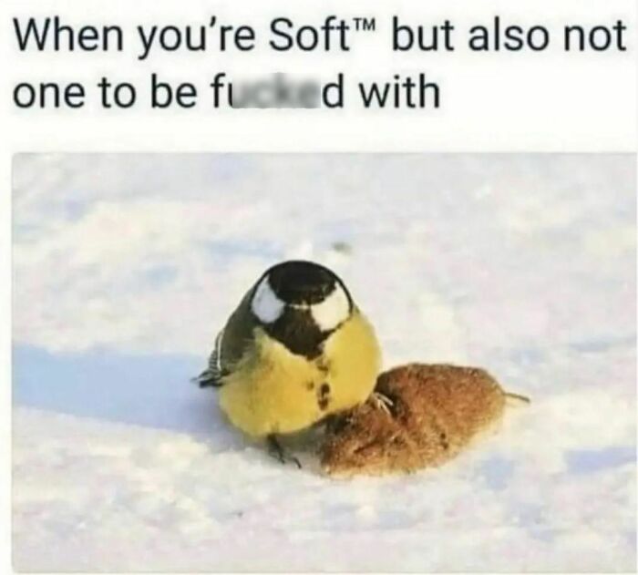 Funny-Spiciest-Memes