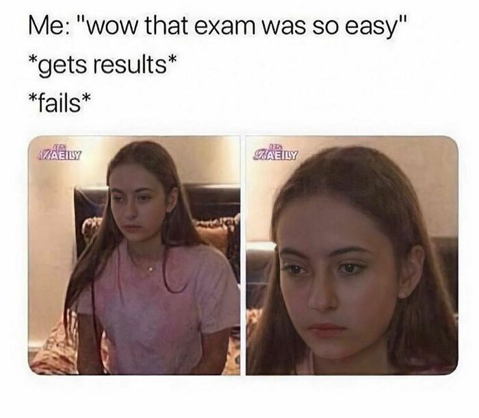 Funny-Spiciest-Memes