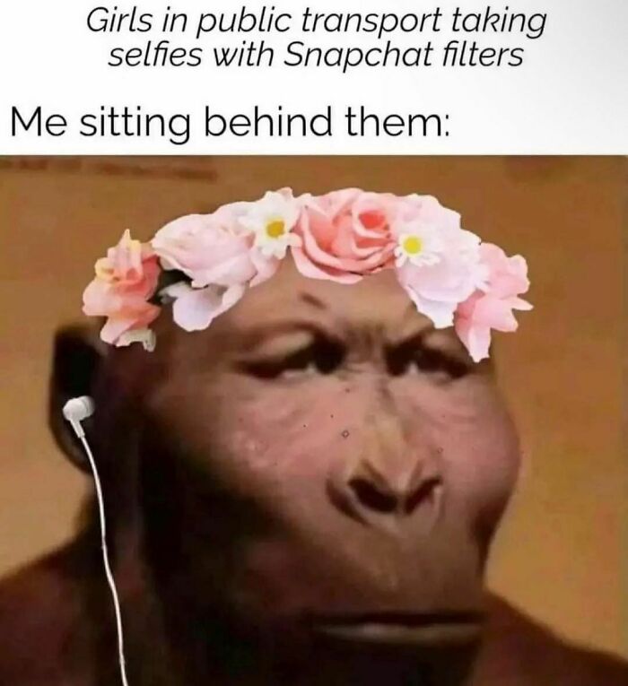 Funny-Spiciest-Memes