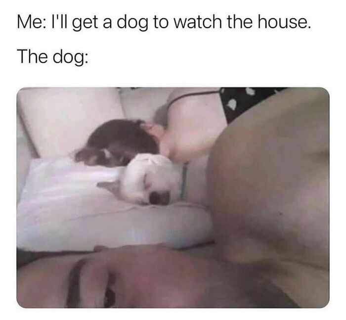 Funny-Spiciest-Memes