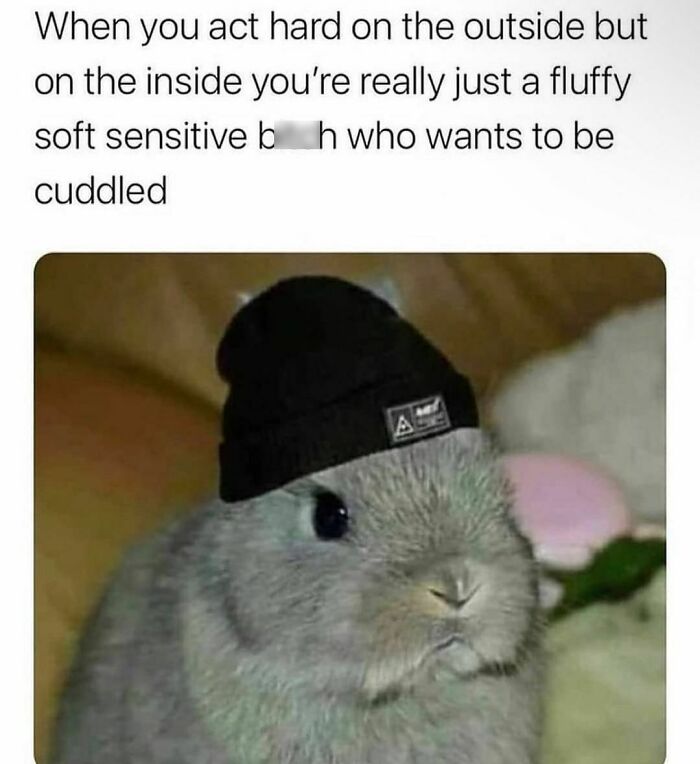 Funny-Spiciest-Memes