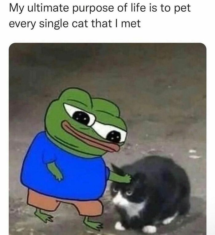 Cartoon frog petting a cat, highlighting humor in spicy memes.