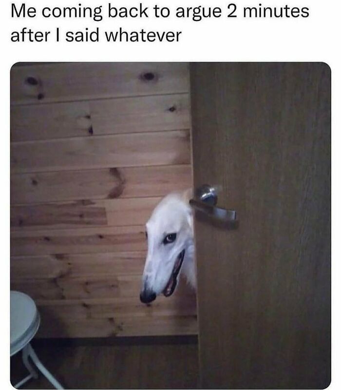 Dog peeking through a wooden door, illustrating a relatable spicy meme.