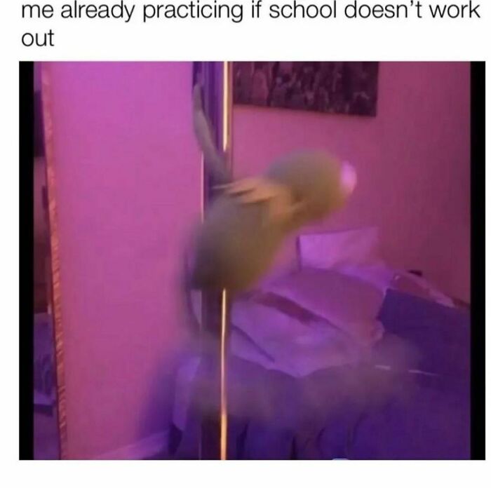 Funny-Spiciest-Memes