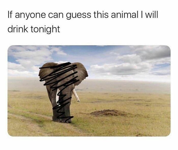 Funny-Spiciest-Memes