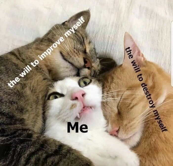 Cheerful-Nihilism-Memes-Facebook