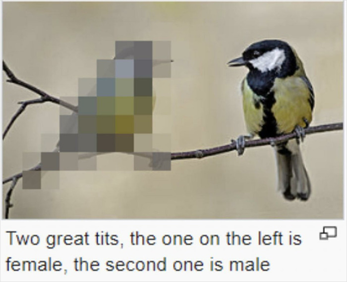 Cheerful-Nihilism-Memes-Facebook