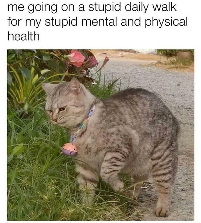 Cheerful-Nihilism-Memes-Facebook