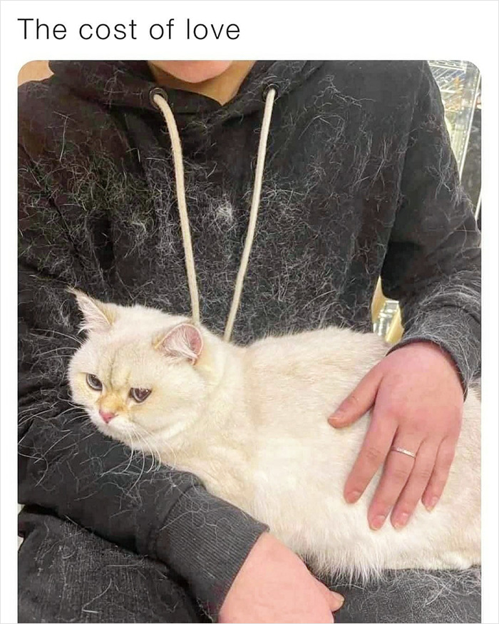 Cheerful-Nihilism-Memes-Facebook