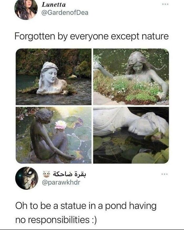 I Finally Figured Out What I Want To Be When I Grow Up 